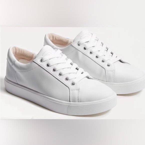 Sam Edelman Women's Leaver Ethyl low-top sneakers size 6 - Picture 3 of 5